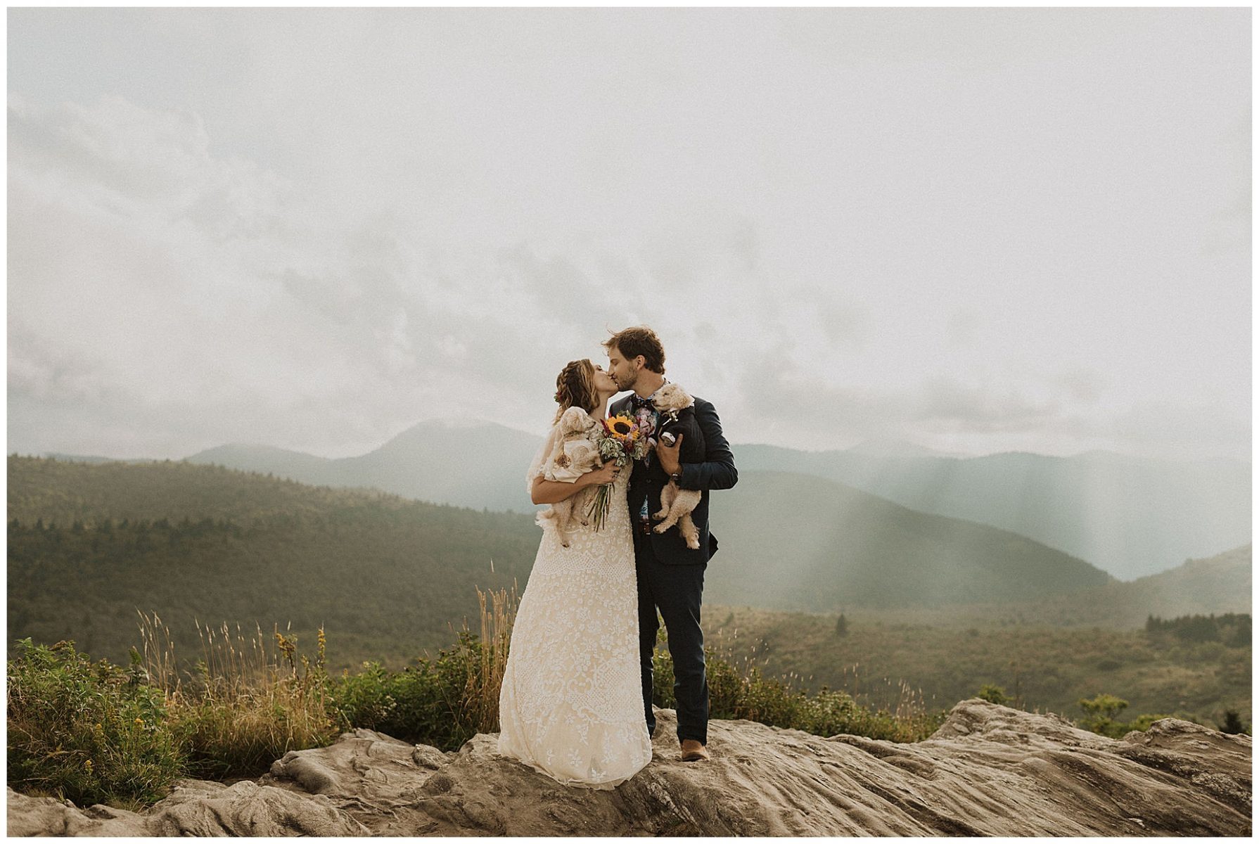 bride and groom kissing and holding their pups on top of the blue ridge mountains