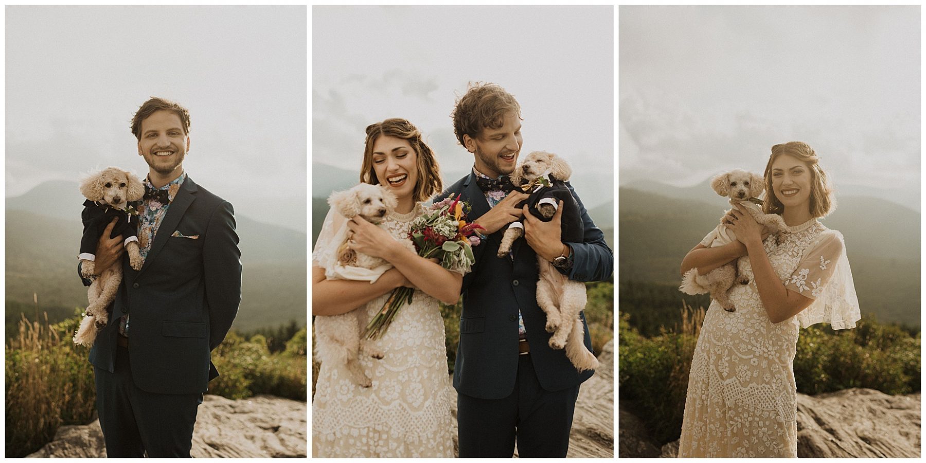 bride and groom kissing and holding their pups on top of the blue ridge mountains